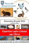 ANIMATIONS ANIMALIERES LAPINS  A PECQUENCOURT
